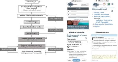 Experience With Store-and-Forward Consultations in Providing Access to Pediatric Endocrine Consultations in Low- and Middle-Income Countries